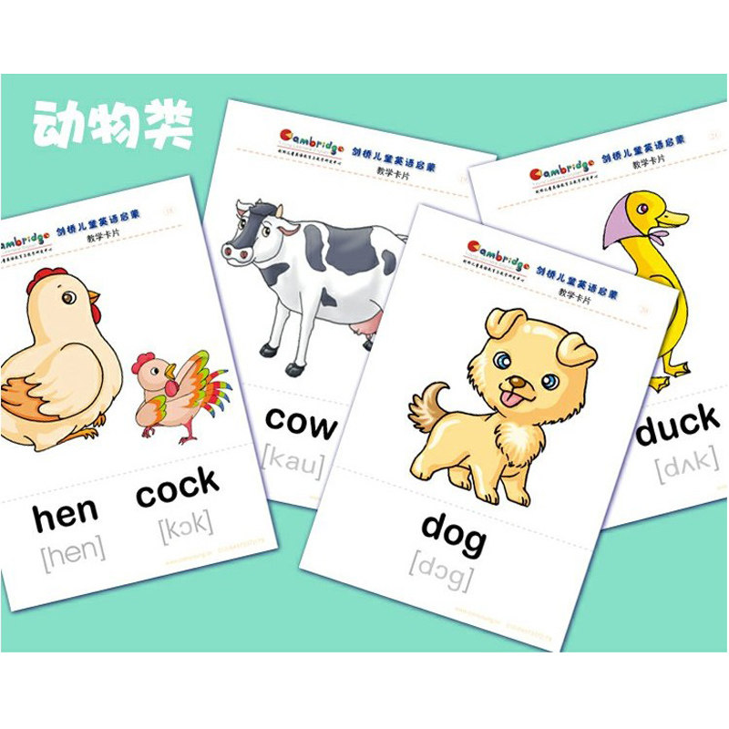 剑桥儿童英语启蒙单词卡片闪卡教学幼儿少儿早教启蒙培训教材教具
