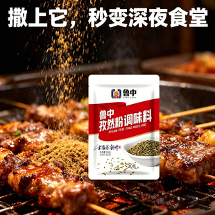 鲁中烧烤撒料调料孜然粉烤肉蘸料腌料羊肉串粉油炸刷料家用烧烤料