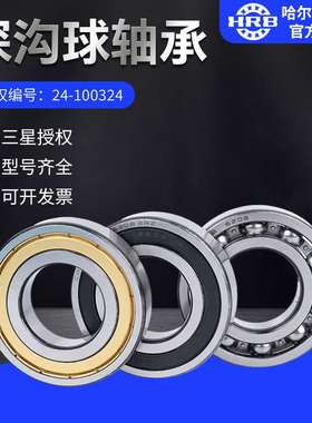 HRB哈尔滨轴承61820-2Z ZZ 2RZ 2RS开式及封闭轴承
