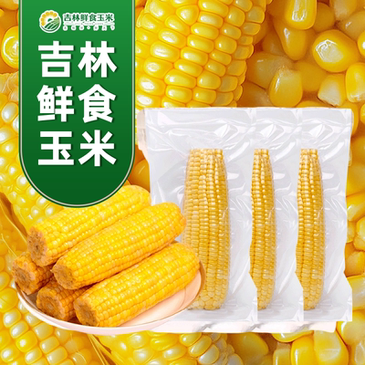 东北鲜食玉米黄甜糯大棒