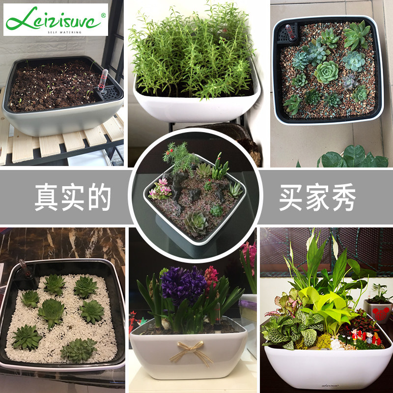 莱之秀大口径多肉绿萝花盆自吸水方形圆形塑料免浇水懒人桌面花盆