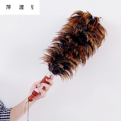 扫灰尘鸡毛禅子汽车鸡毛掸子除尘扫灰车用长杆老式伸缩