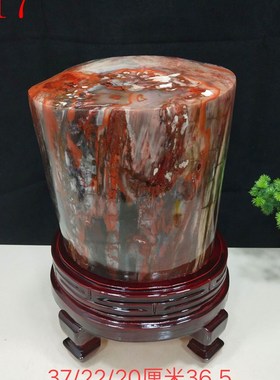 天然新疆木化石树化石奇石观赏石客厅玄关办公室乔迁送礼