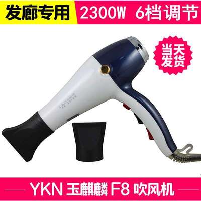 玉麒麟F8大功率吹风机2300w理发店发廊家用冷热电吹风负离子