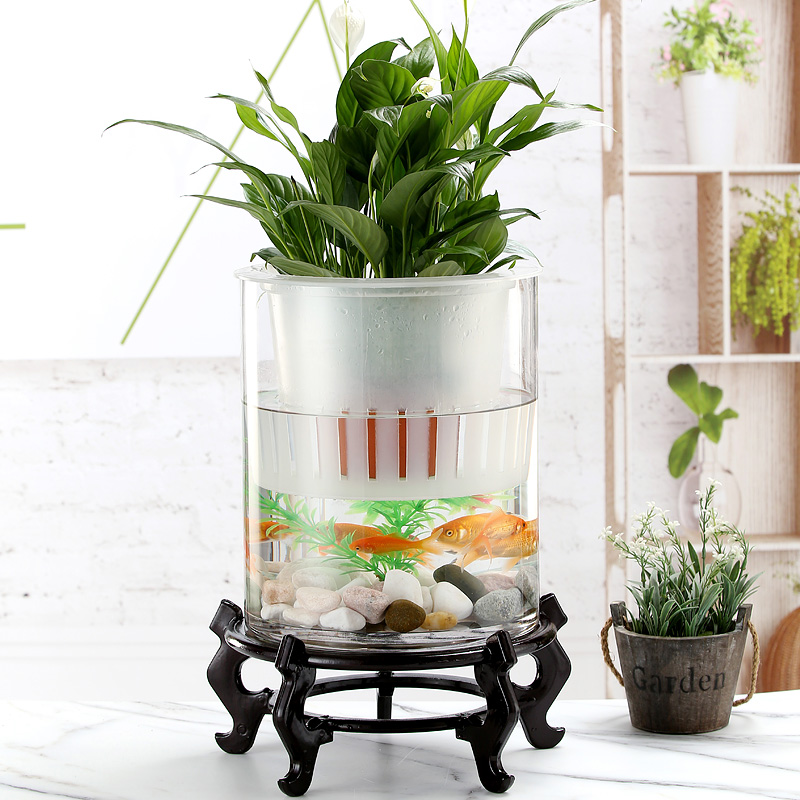 超大玻璃花瓶直筒特大号0厘米大口径水培富贵竹养鱼绿植白掌