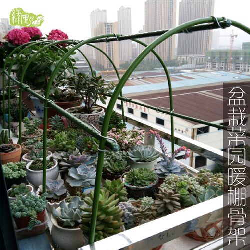 种菜园阳台温室暖棚架 多肉防雨遮阳棚防虫防鸟大棚骨