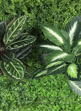 仿真万年青植物假花装饰绿色绿植落地小盆景盆栽假树植物装饰