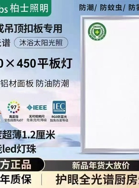 300x450集成吊顶灯LED厨卫灯30x45厨房灯铝扣板嵌入式面1.2cm超薄