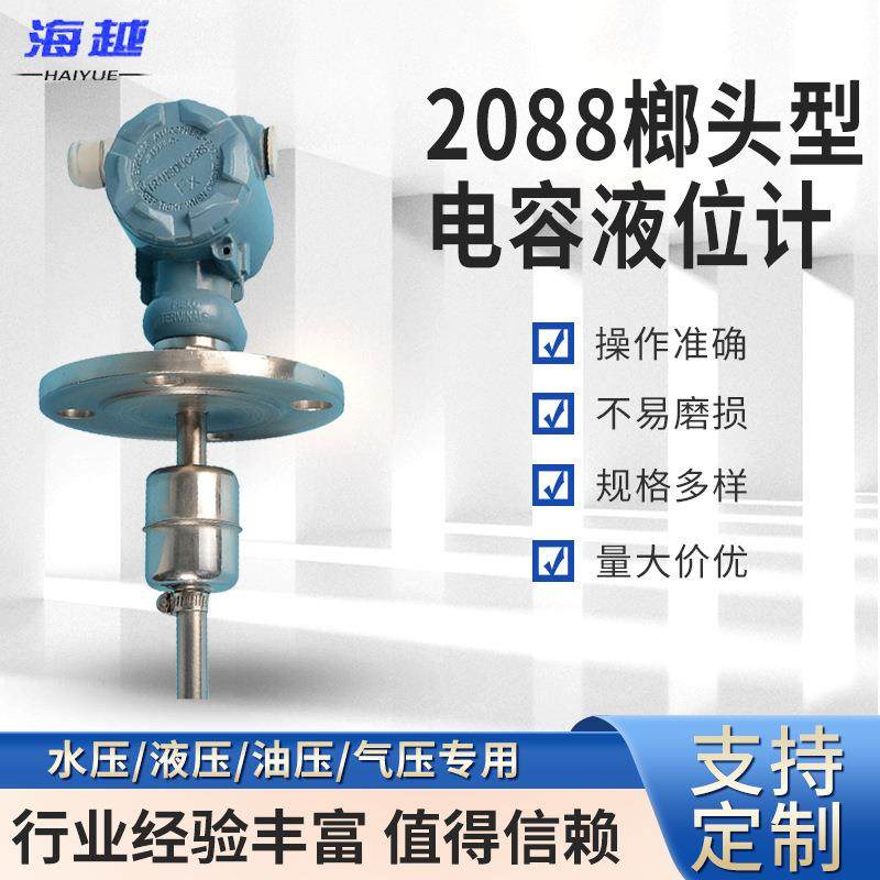 2088榔头型法兰式射频电容液位计防腐耐高温高压物位计料位计