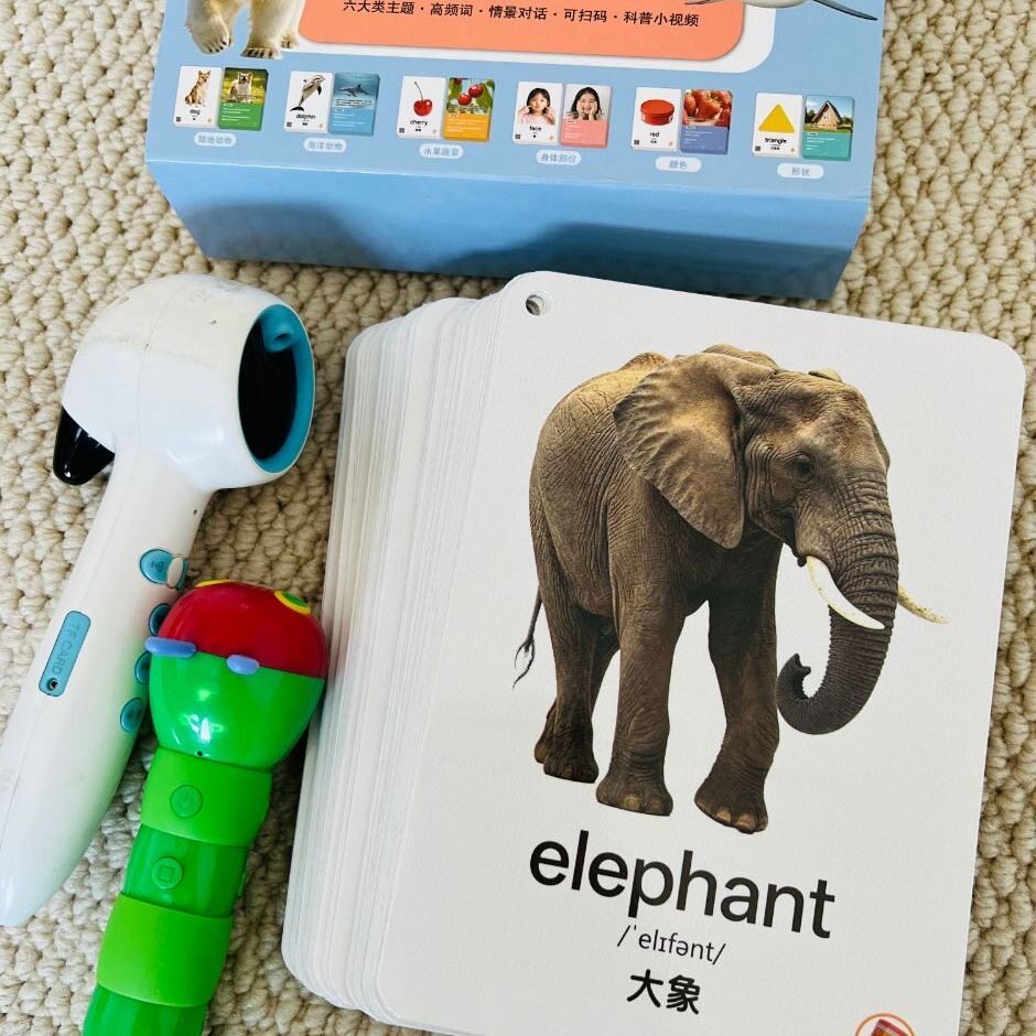 幼儿英语启蒙单词闪卡亲子互动中早教闪卡/潜能开发卡