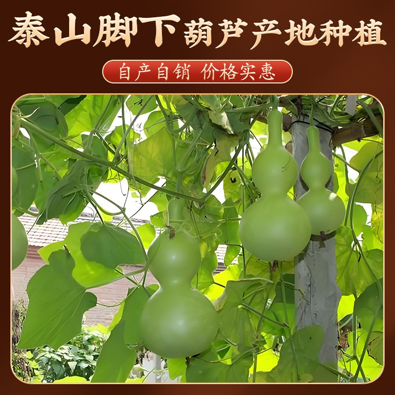 天然葫芦挂件带龙头入户门客厅大门文玩朱砂卧室口原生12