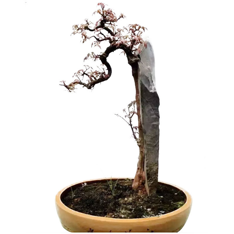 盆景附石加工制作工具石头切割片手电钻槽打磨刻字制作底工具