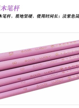 蔡伟斌老师推荐12支装水粉画笔紫色G顺笔套装狼毫笔丙烯美术专用