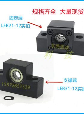 20 3丝杠丝杆支撑座L支座组件 10B12-轴承 1516LE 8 21固定座EB