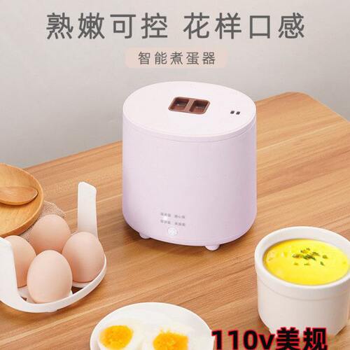 110V伏出口小家电煮蛋器自动断电家用多功能煮蛋神器小型早餐机