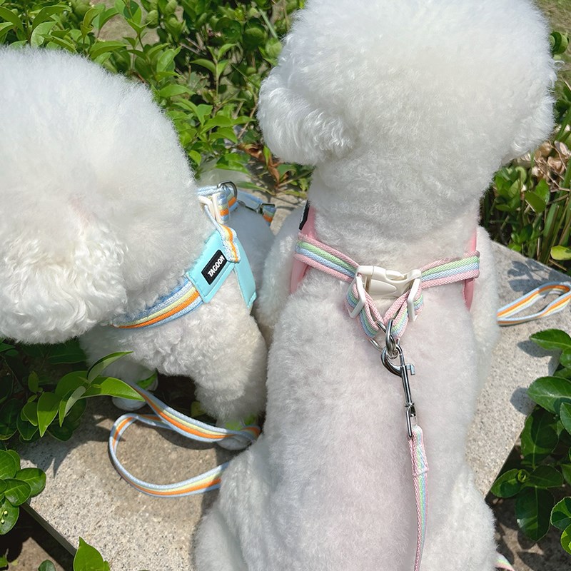 狗狗牵引绳小型犬比熊泰迪博美背心式宠物胸背带透气防挣脱遛狗绳