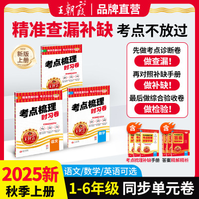 王朝霞考点梳理卷官方正品