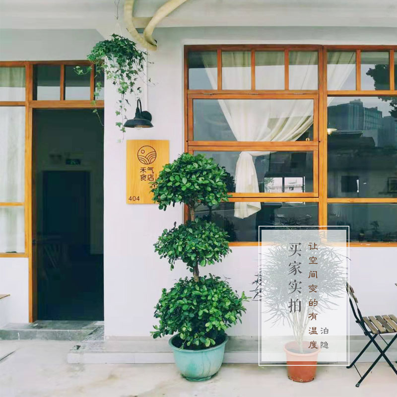 店铺挂牌定制木牌实木门牌工作室招牌木质门牌刻字正在营业挂牌木