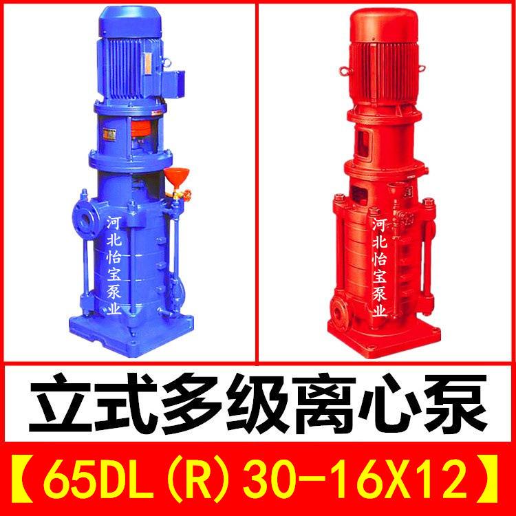 65DL30-16X12立式多级泵DLR型热水增压管道离心泵高层建筑给水泵