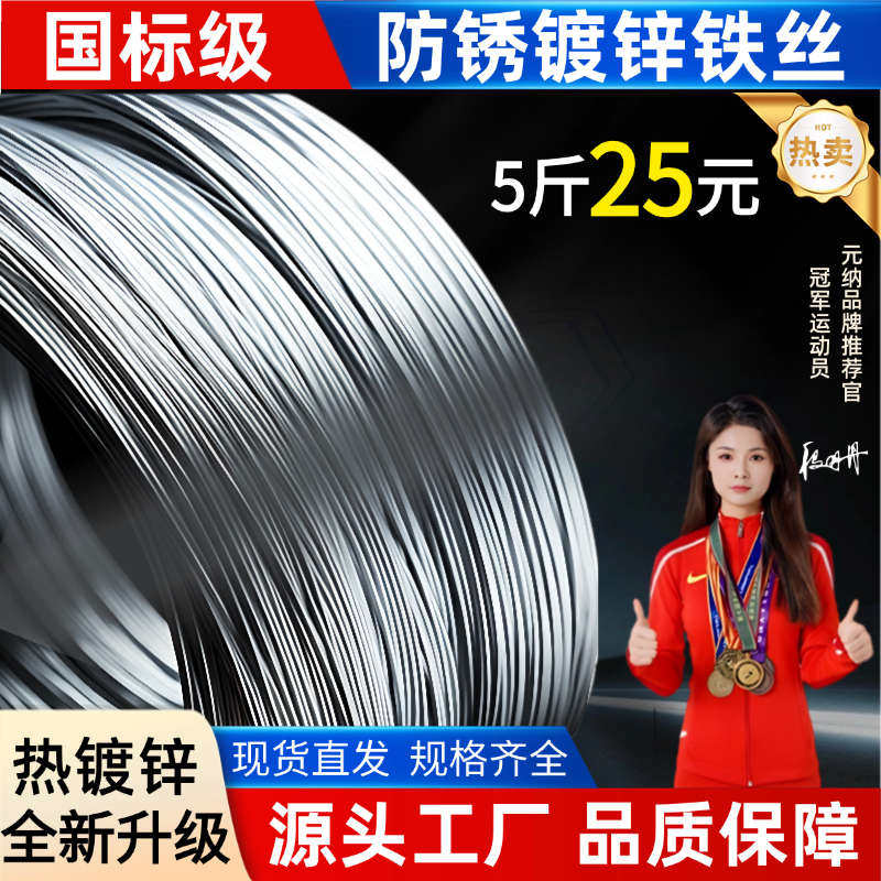 铁丝镀锌铁丝铁线细热镀电镀不生锈工地8 10 12 14 16 18号#铁丝,鲜花速递/花卉仿真/绿植园艺,花艺材料,淘宝优惠券,粉丝福利购,淘宝优惠卷