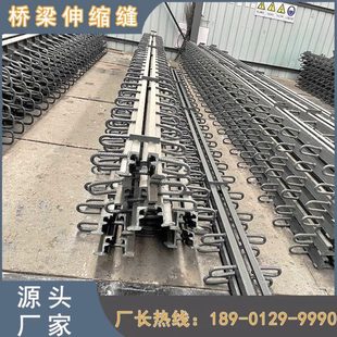 公路桥梁伸缩缝c40型D型E型F型毛勒缝模数式 置厂家 异型钢伸缩缝装