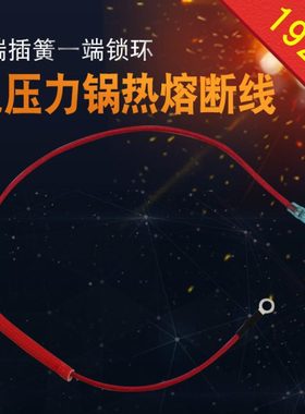 通用192°C保险丝CYSB50FC12-100/SY0673电压力锅热熔断线配件