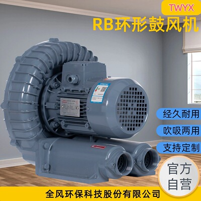 RB-055H隔热型环形鼓风机功率4KW进气温度180℃内可做双隔热厂家