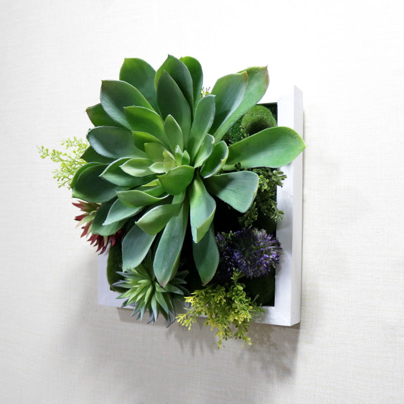 圆形壁挂仿真壁饰墙面装饰多肉挂件家居饰品创意立体挂画