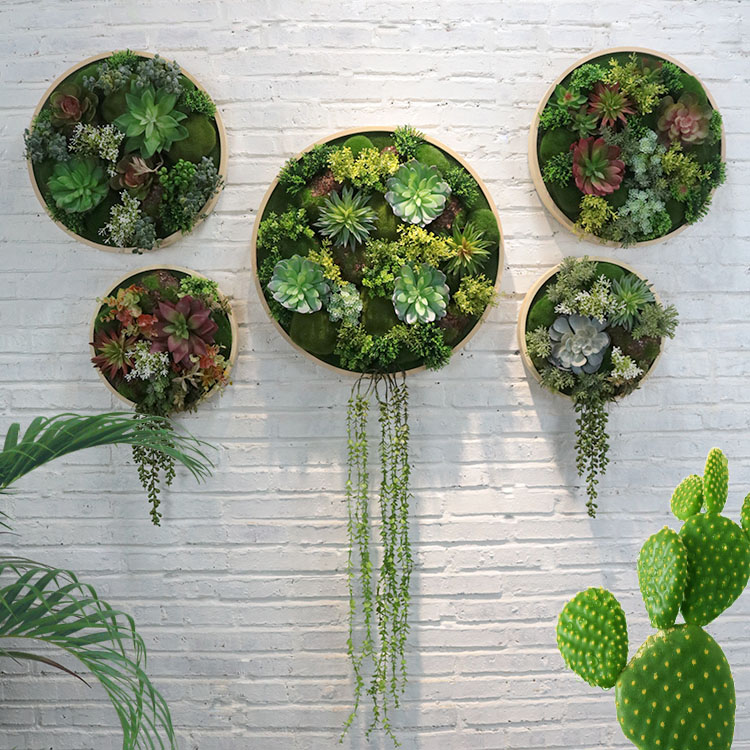 圆形壁挂仿真植物壁饰墙面装饰多肉挂件家居饰品组合创意立体挂画图片
