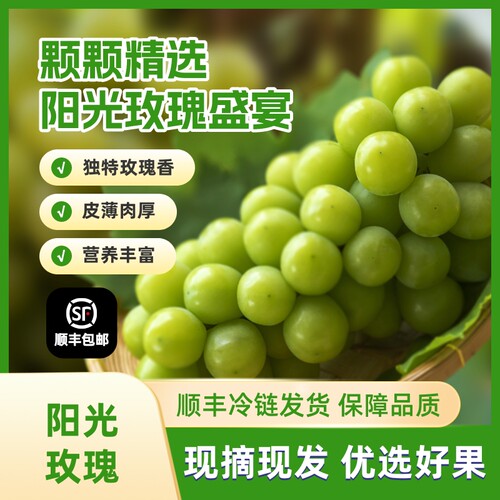 天津汉沽茶淀阳光玫瑰葡萄
