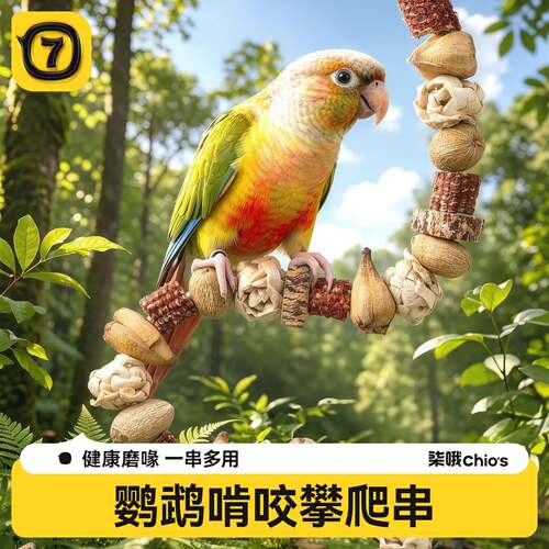 鹦鹉玩具啃咬坚果串攀爬爬梯