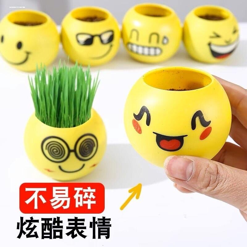 长草娃娃炫酷表情植物盆栽娃娃学生礼品玩具微景观种植小草头摆件