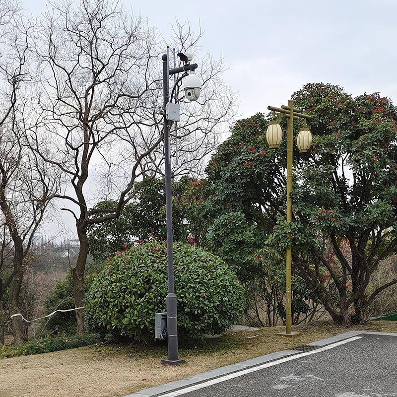 厂家供应公园小区监控立杆户外道路交通监控器杆件摄像头支架
