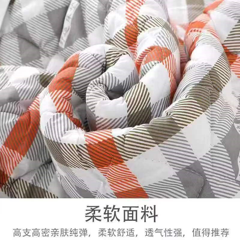 床垫软垫防滑学生宿舍床褥垫毛毯法兰绒冬季N绒面毯子铺床厚珊瑚