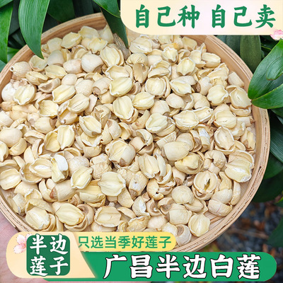 【小秋的田园】广昌半边莲子新鲜干货无硫农家土特产去芯白莲500g