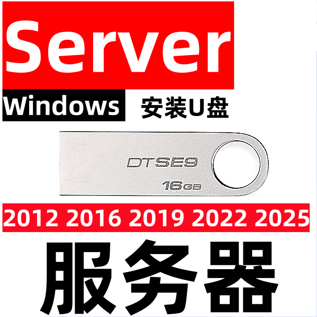 中文版 windows服务器server 2012 2016 2019 2022 2025 系统安装