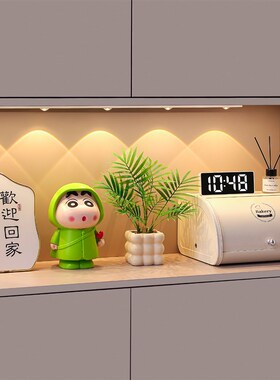 轻奢玄关装饰摆件简约高级感收纳盒乔迁新居礼品入户门鞋柜置物架