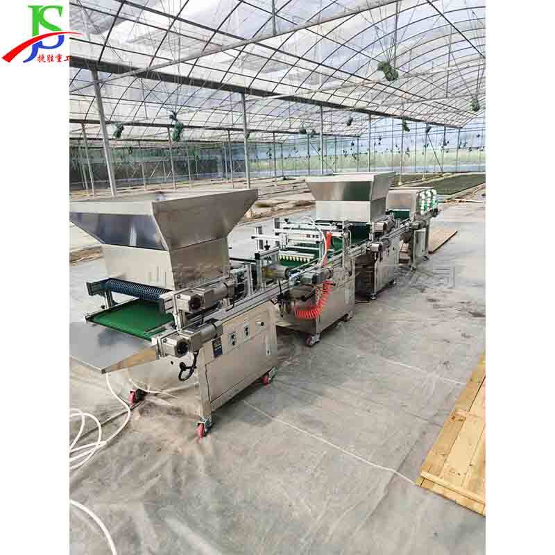 全自动穴盘育苗播种机 铺土压穴播种一体机 农业种子种植机械设备