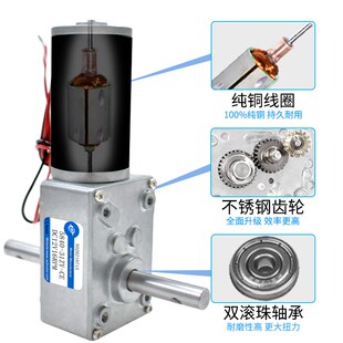 31ZY涡轮蜗杆微型直流减速调速G电机12v24v自锁齿轮双轴马达 5840