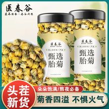 【医春谷】桐乡正宗胎菊王罐装干货30g