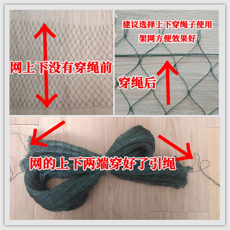 葡萄天沟防鸟网果园果树防护网草莓园通风口穿边绿色加厚加粗2.5