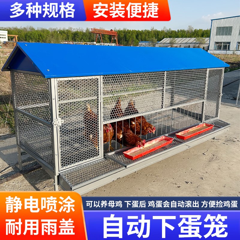 鸡笼子家用室外防雨自动收蛋防啄防黄鼠狼防鼠加厚不锈下蛋养殖笼