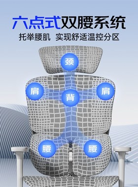 Ergoup/有谱 慧眼X1  人体工学椅电脑椅子舒服久坐办公座椅电竞椅