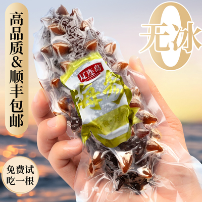 辽连岛即食海参海底散养野外生长非干货礼盒产地发海参1斤装500克
