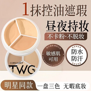 【TWG】三色遮瑕膏15g*2盒