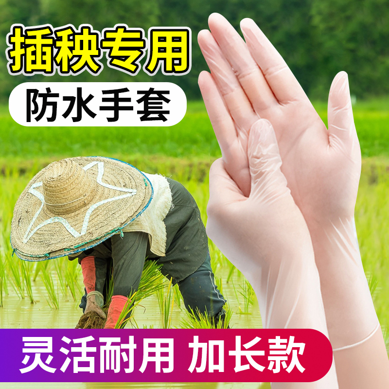 插秧手套专用加长k乳胶防水加厚下田水稻栽秧女士干活劳保一次性