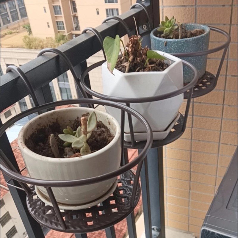 花架阳台悬挂式铁j艺花篮栏杆护栏窗台绿萝吊兰花盆架家用置物挂