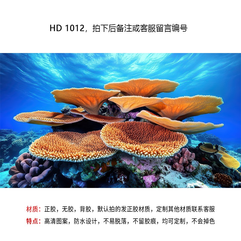 2024新款海底世界海底珊瑚高端鱼缸背景贴纸图5d立体高清图立体画