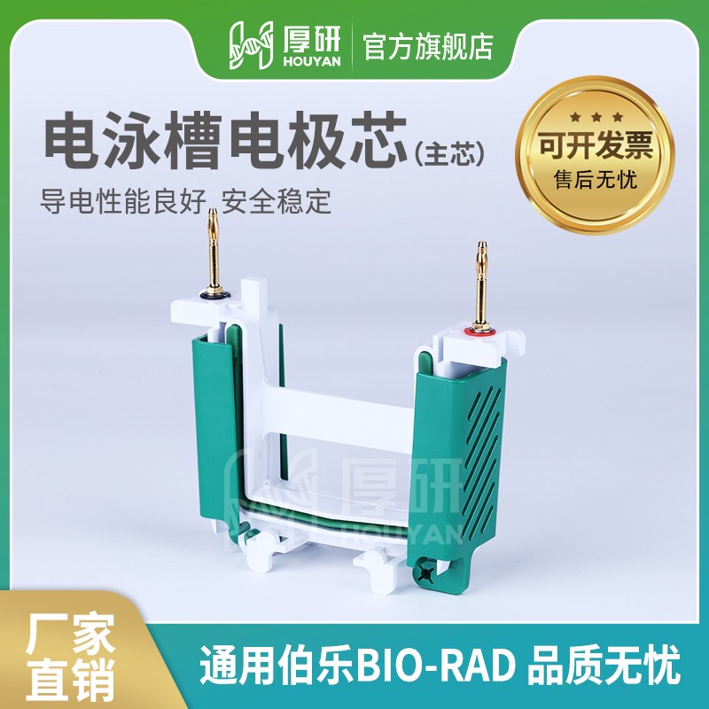 通用BioRad伯乐电泳芯电泳槽配件小型垂直电泳槽蛋白槽1658001