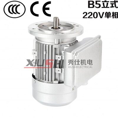 WV 异步全铜 电动机电动机22014117B4单250铝壳国标L相B5 Y